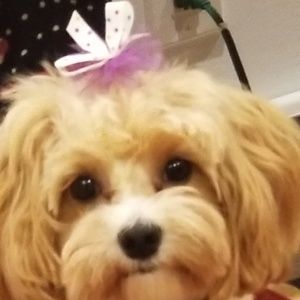 Meet your Posher, Nancy